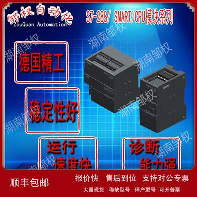 西/门子SMARTS7-2006ES7288-3AM06/3AR02/3AR04/3AT04-0AA0继电器