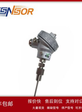 EYC拧入式热电阻R2系列 PT100信号 FPT1/4活动螺纹 管长可选订购