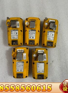 BW泵吸式气体检测仪 BW GasAlert MaxXTII