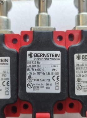 伯恩斯坦行程限位开关ENK-A3Z Riw 608.1917