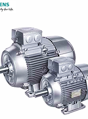 1LE1001-1DB43-3AC6-Z=D34+Q01+R11IM B 3 SIMOTICSGP低压电机