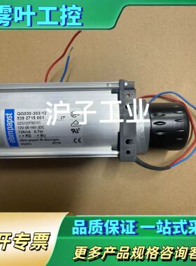 德国ebmpapst QG030-303/12，横流散热【议价】
