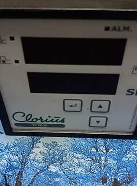Clorius ER2000温度控制器，带PT100传感器和