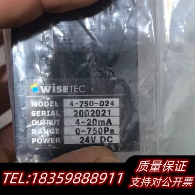 WTDM-200WISETEC气体流量计控制表询价