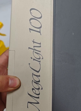 HOYA-SCHOTT卤素灯冷光源MEGALIGHT 100