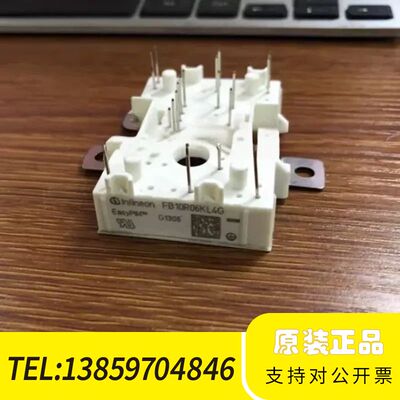 FB10R06KL4G FB10R06KL4G-B1 FB1议价