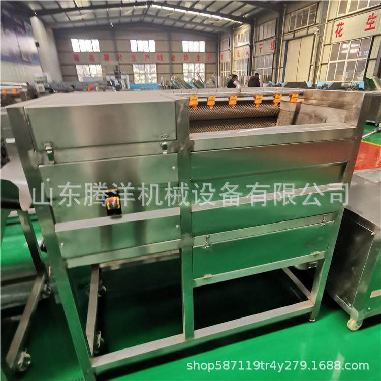 现货大蒜毛辊清洗机马铃薯去皮清洗机红薯毛辊去皮机规格齐全,清洗/食品/商业设备,其他食品加工设备,淘宝优惠券,粉丝福利购,淘宝优惠卷