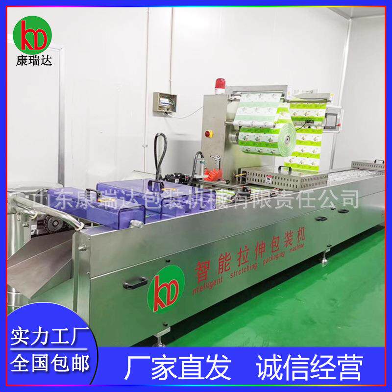 全自动拉伸膜真空包装机人参蜜片玉米包装机鸡腿休闲食品封口机