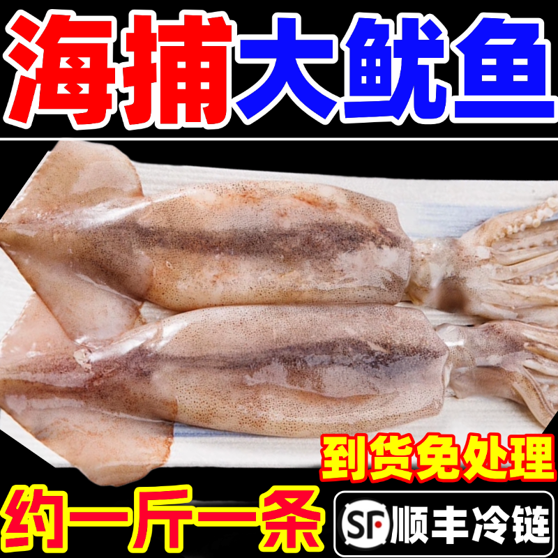 鱿鱼新鲜冷冻整只超大鱿鱼墨鱼深海尤鱼铁板鱿鱼须商用海鲜水产