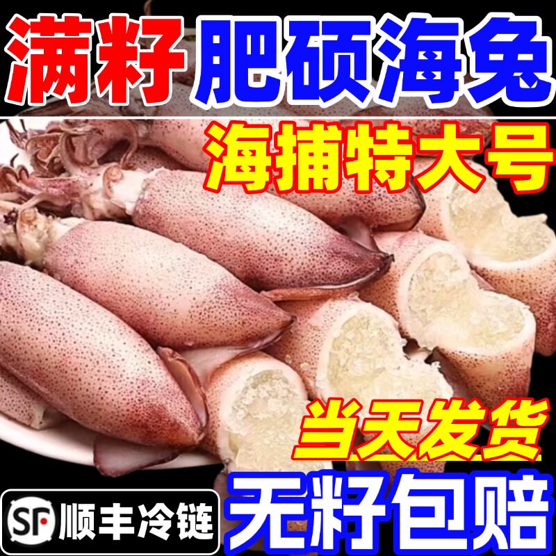 籽乌新鲜海兔子全籽乌贼