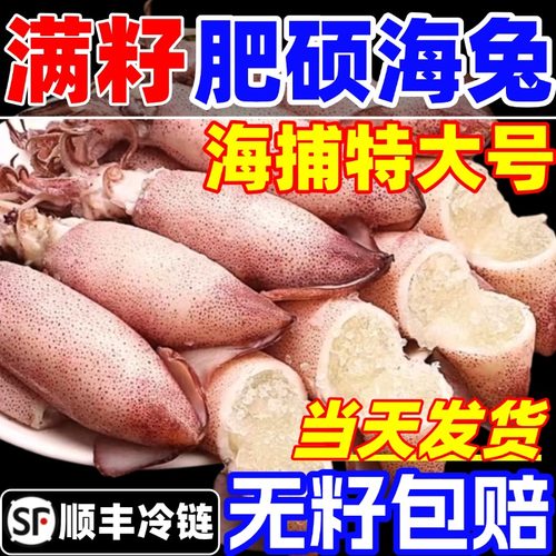 籽乌新鲜海兔子全籽乌贼