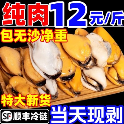 海虹肉鲜活现剥速冻青口贝肉淡菜肉新鲜贻贝肉去壳贝类海鲜水产