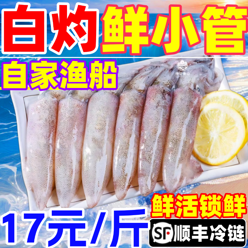 小管鱿鱼白灼鱿鱼新鲜冷冻大鱿鱼大管笔管鲜活生鲜小乌贼水产海鲜