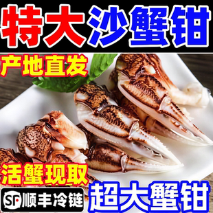 沙蟹钳蟹爪超大特大新鲜螃蟹梭子蟹腿脚醉蟹捞汁原料商用海鲜批发