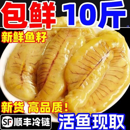 鱼籽新鲜超大鱼籽鲜活冷冻鱼子鱼肚鱼卵鱼泡黑鱼鱼杂蛋膘商用海鲜