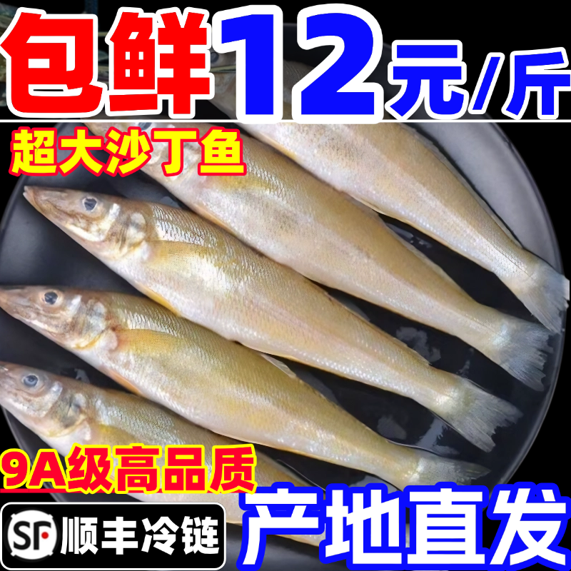 沙丁鱼新鲜尖梭鱼鲜活冷冻大沙尖鱼深海鱼宝宝辅食商用海鲜水产