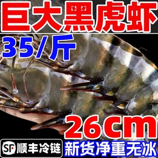 黑虎虾大虾鲜活超大老虎虾新鲜速冻深海基围虾特大九节竹节虾海鲜