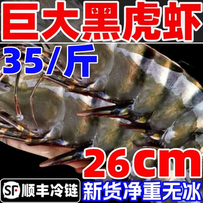 黑虎虾鲜活速冻特大虾