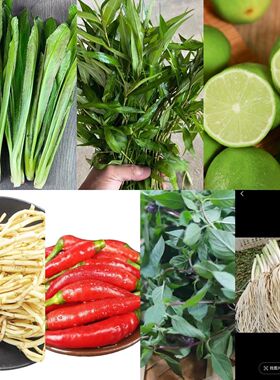 云南特产傣味香料组合柠檬撒撇原料新鲜香菜柠檬小米辣酸鱼料