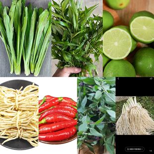 云南特产傣味香料组合柠檬撒撇原料新鲜香菜柠檬小米辣酸鱼料