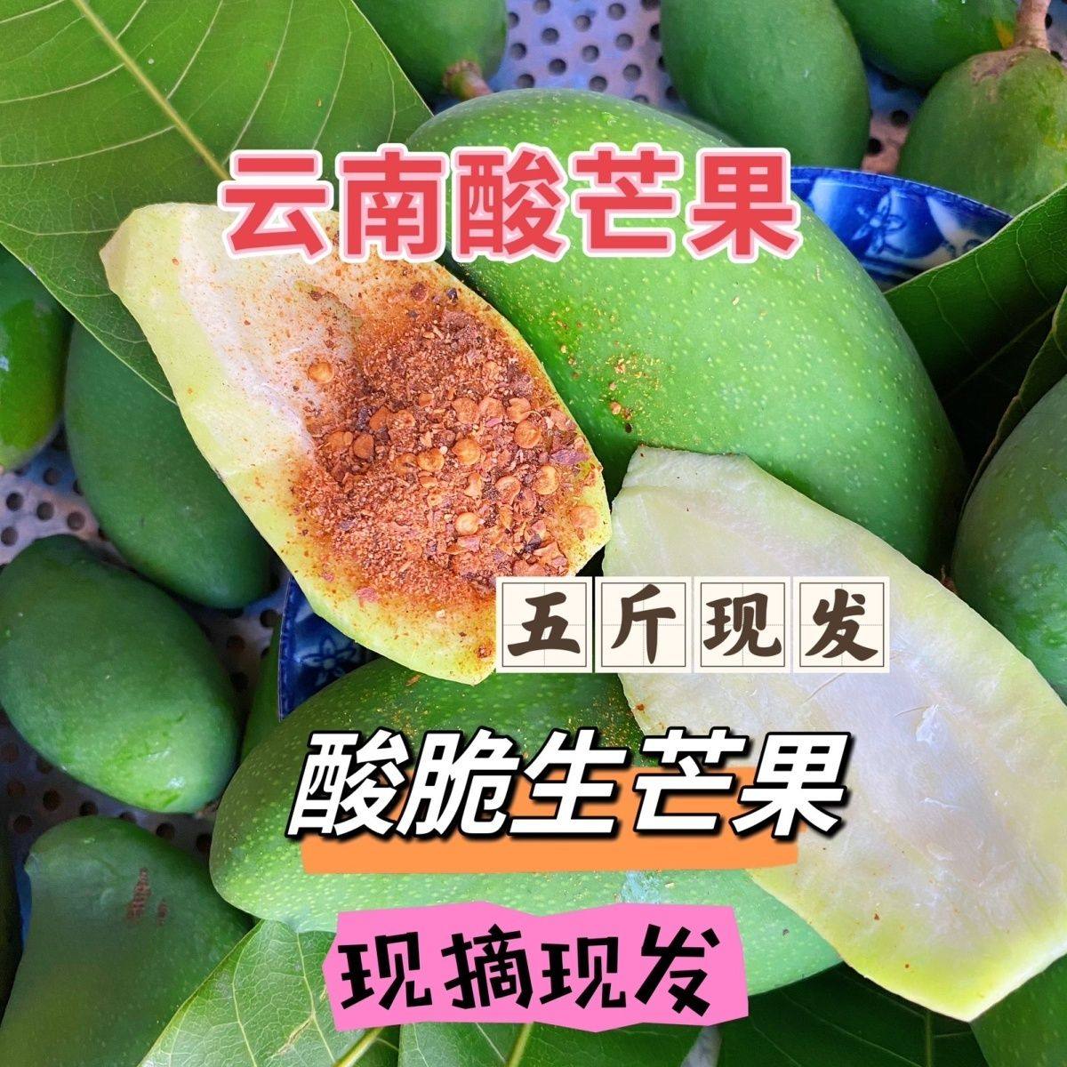 现摘云南酸芒果新鲜酸脆生吃小青芒果青芒果四季芒果孕妇开胃水果