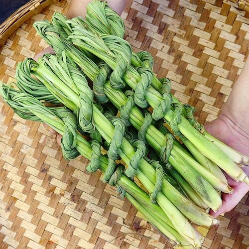 云南傣味香料 新鲜香茅草 冬阴功风味调料烤鱼烤肉凉拌菜增香