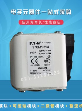 170M5310 5311 5312 5313 5314 5315 5316 5358快速熔断器保险丝