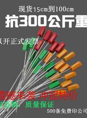 一次性铅封钢丝塑料封条电水表集装箱物流抽紧式封签不锈钢扎带
