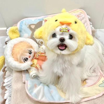 马尔济斯专用帽子宠物小狗狗约克夏头套冬季冬天保暖小型幼犬用品