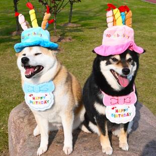 宠物狗狗法斗柯基比熊柴犬生日派对饰品帽子头套围巾围脖庆祝生日