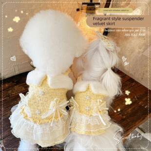 KZ 绝美！超奢华香风呢子裙 宠物秋冬比熊犬公主衣服狗狗服装加绒