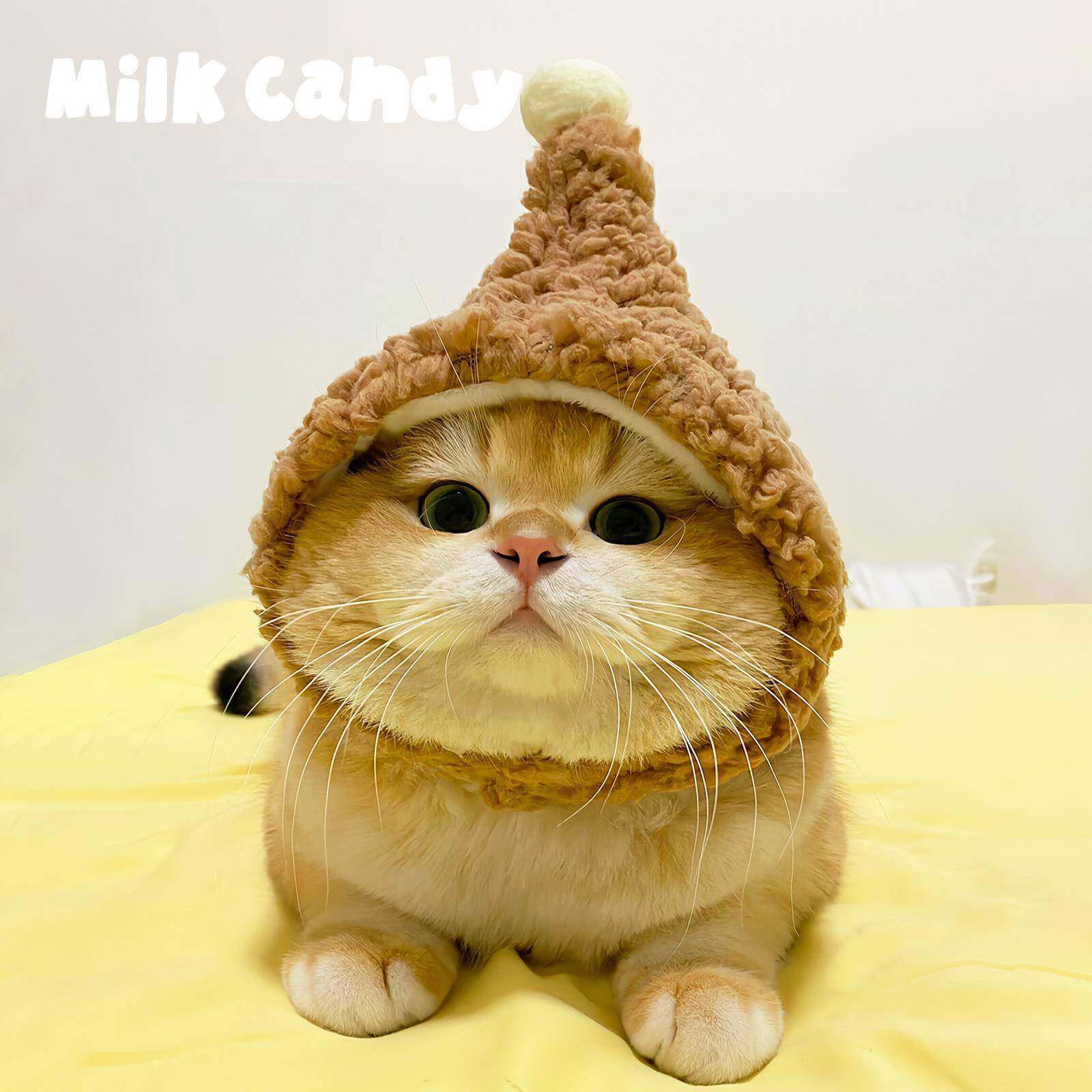 猫咪帽子狗狗头套可爱小型犬宠物头饰搞笑小狗比熊配饰小猫巫师帽