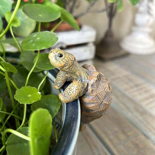 乌盆挂缸挂鱼缸花盆景树造创意工艺品摆件85161 龟水缸玻璃鱼缸脂