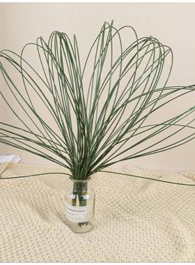 仿真绿线咸条造型20扎水草软胶钢草蒲草仿植物钢32805扎软真铁线