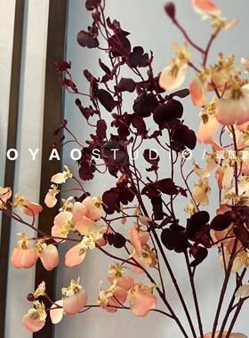 仿真跳舞兰 桌面装饰 秋色花跳 舞兰 家居50265装饰摆放花卉摄影