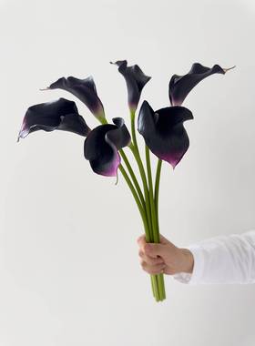 JUNJUN仿真花 马蹄黑色海芋 PU假花莲客41524餐厅桌装饰摆件拍摄