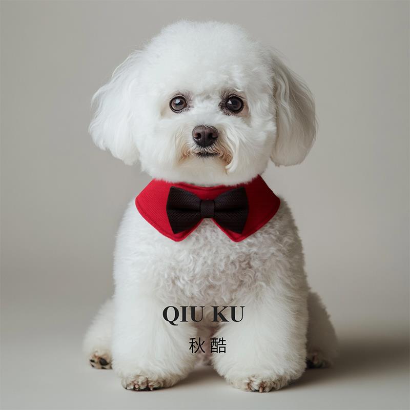 结婚狗狗陪嫁装饰绅士款蝴蝶结配饰口水巾围脖宠物领结猫咪服装