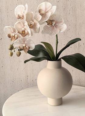 态生蝴活 ns风高级感67903餐i桌花艺客厅餐厅仿真保湿蝶兰陶瓷花