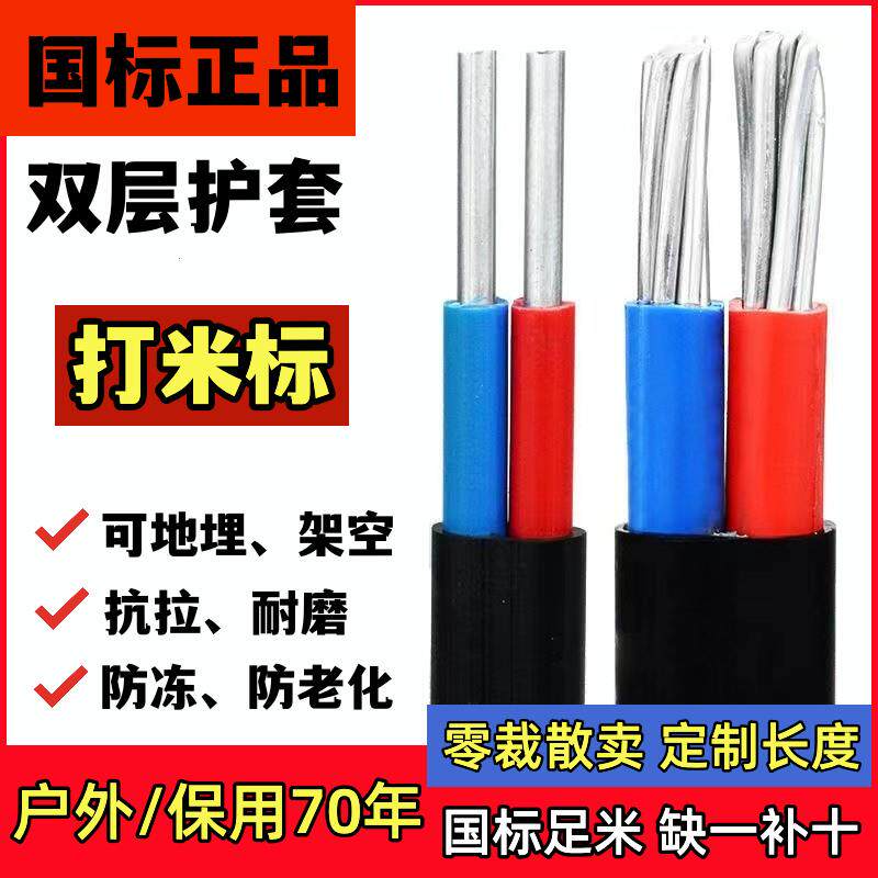 国标2芯护套线铝芯家用户外电线4/6101625平方双芯铝电缆线防老化