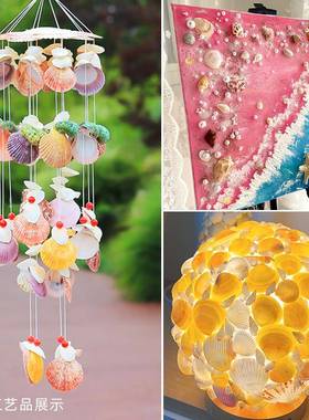 天然贝壳海66595螺海工星缸鱼造景手diy材料相框风铃漂瓶流装饰小