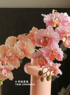 高品质蝴蝶兰真餐桌插花11217花摆件拍摄仿道保具手感湿高级感假