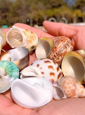 寄居蟹壳替壳三湖慈鲷卷贝66563鱼专用换壳海螺鱼贝壳鱼缸装饰品