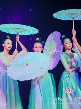 雨涧春行伞古典蹈伞图演演出道具广场31144舞跳舞工艺装饰伞表舞