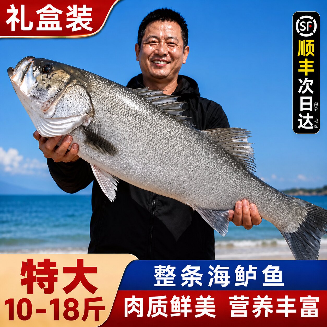 特大鲈鱼新鲜礼盒装【顺丰包邮】