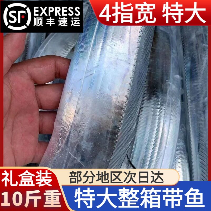 特大号带鱼新鲜冷冻鲜活整条整箱十斤无冰礼盒装舟山东海青岛深海