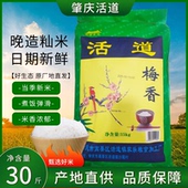 活道梅香米30斤肇庆高要活道大米稻香米糯灿米广东特产肇庆梅香米