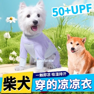 柴犬专用狗狗四脚凉凉衣夏天防晒衣小狗衣服薄款春装中型犬春夏季