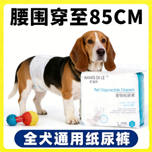 巴吉度狗狗尿不湿公狗专用纸尿裤 月经男狗大狗小狗尿布尿片 生理裤