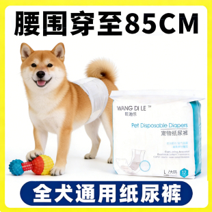 秋田犬狗狗尿不湿公狗专用纸尿裤 小狗宠物尿片大狗老年狗 生理裤