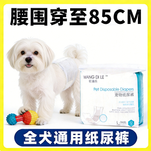 西施犬狗狗尿不湿公狗专用纸尿裤 老年狗大姨妈礼貌带小狗 生理裤